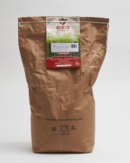 Graines de Blé Bio Spécial Herbe de Blé, 5kg