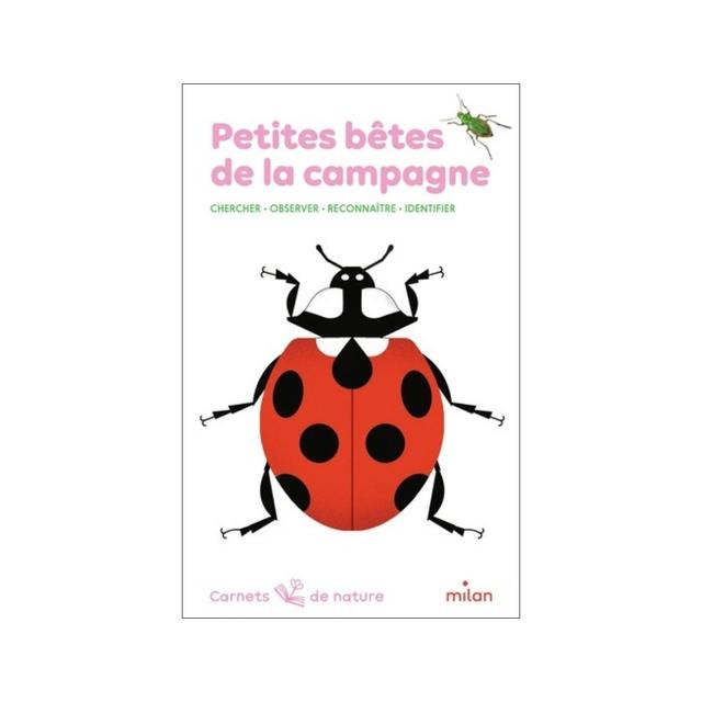 carnet de nature : petites bêtes de la campagne