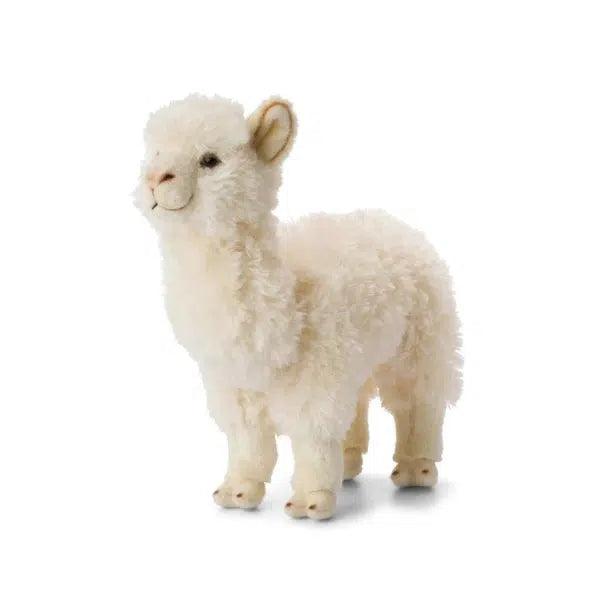 Grande peluche écologique - Alpaga blanc 31cm