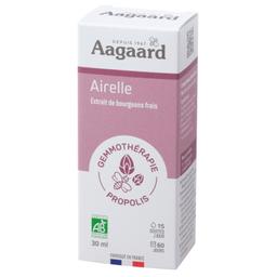 Gemmo Framboisier - 30 ml - Aagaard