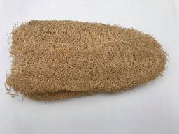 Luffa complète