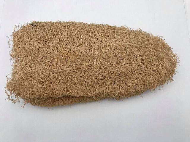 Luffa complète