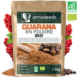 Guarana en Poudre Bio 70g