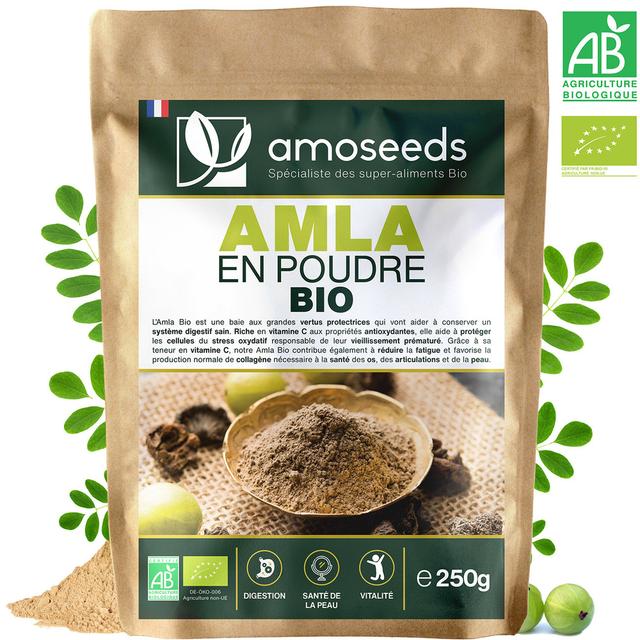 Amla en Poudre Bio 250g