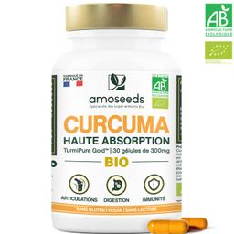 Curcuma Bio | Formule Concentrée avec Gingembre Bio | 120 gélule