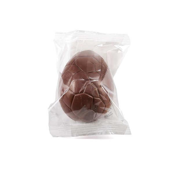 Petits chocolats de Pâques bio à cacher - L'oeuf de 40g