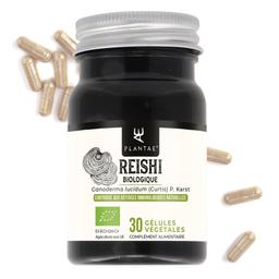 Reishi Rouge * 300mg / 30 gélules * Adaptogène, immunostimulant