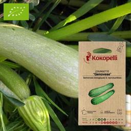 Sachet de graines bio à semer - Courgette Genovese