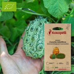 Sachet de graines bio à semer - Kiwano Concombre Cornu d'Afrique