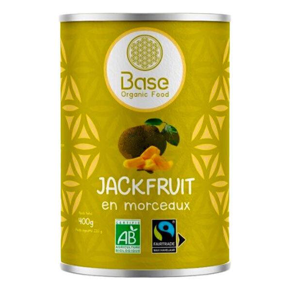 Fruit du Jacquier en morceaux jackfruits 400g