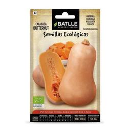 Graines de courge Butternut bio