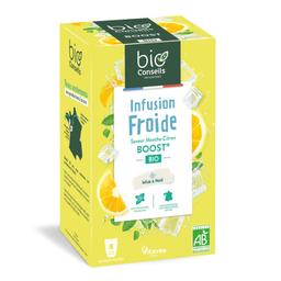 Infusion Froide Boost Menthe Citron 20 sachets