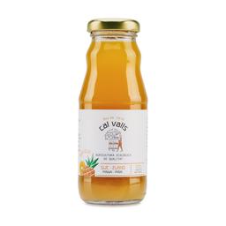 Jus d'ananas biologique 200 ml