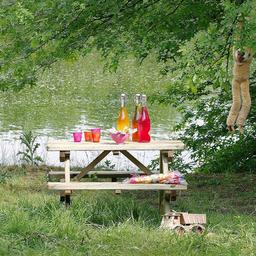 Table de pique-nique pour enfant en bois chinchilla 4 places