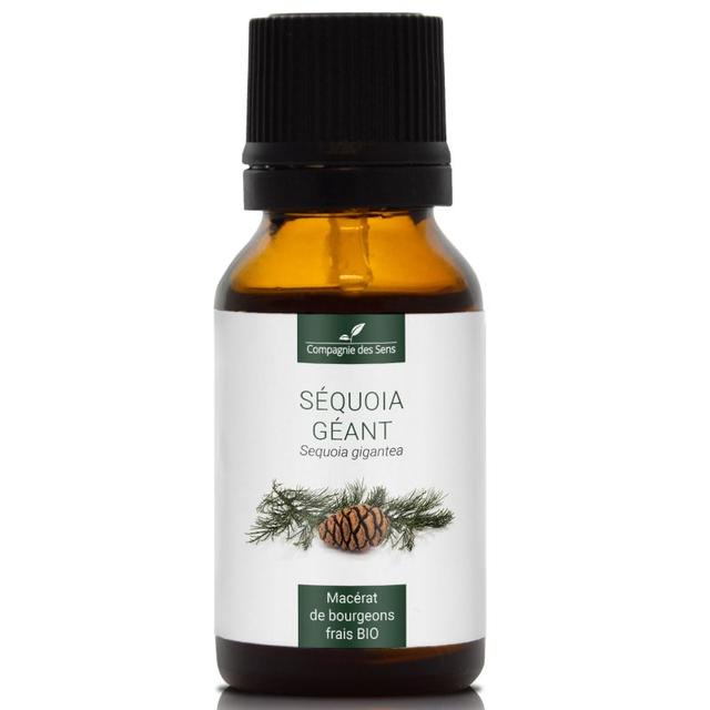 SÉQUOIA GÉANT - Macérat de bourgeons BIO - 15mL