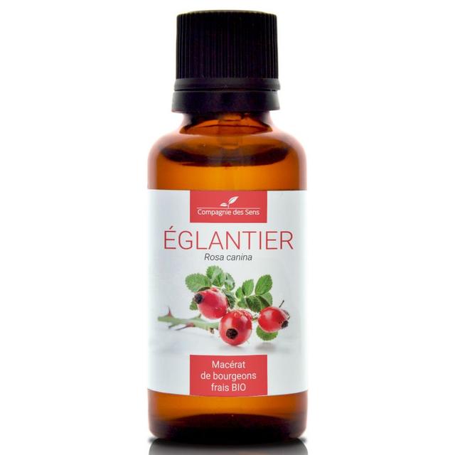 ÉGLANTIER - Macérat de bourgeons BIO - 30mL