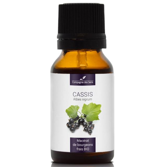 CASSIS - Macérat de bourgeons BIO - 15mL