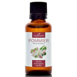 POMMIER - Macérat de bourgeons BIO - 30mL