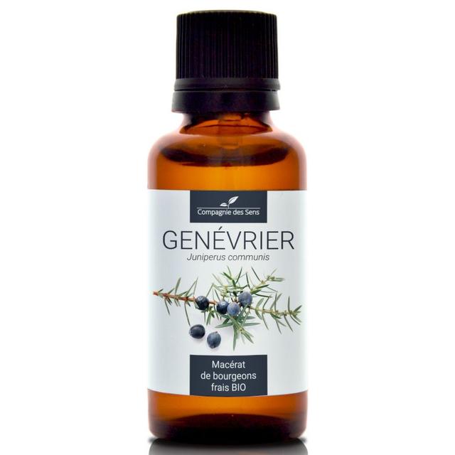 GENÉVRIER - Macérat de bourgeons BIO - 30mL