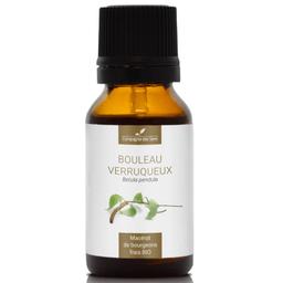 BOULEAU VERRUQUEUX - Macérat de bourgeons BIO - 15mL