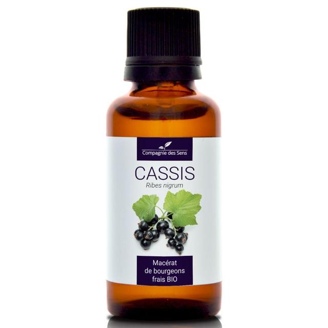 CASSIS - Macérat de bourgeons BIO - 30mL