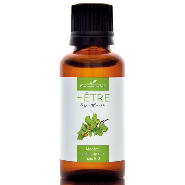 HÊTRE - Macérat de bourgeons BIO - 30mL