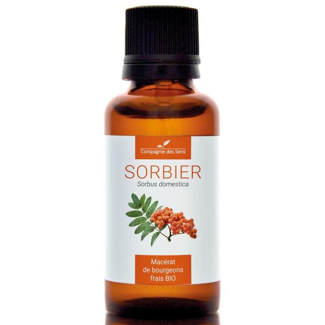 SORBIER - Macérat de bourgeons BIO - 30mL