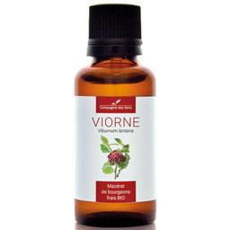 VIORNE - Macérat de bourgeons BIO - 30mL