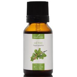 HÊTRE - Macérat de bourgeons BIO - 15mL