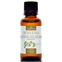 BOULEAU VERRUQUEUX - Macérat de bourgeons BIO - 30mL