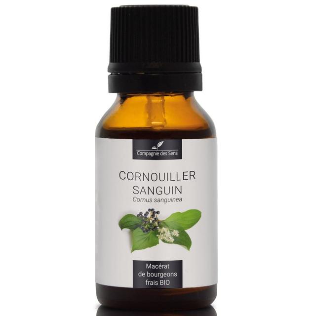 CORNOUILLER SANGUIN - Macérat de bourgeons BIO - 15mL