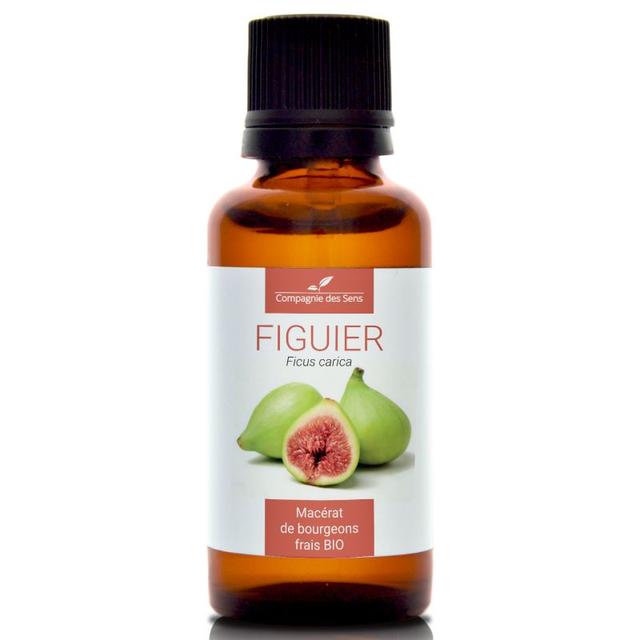 FIGUIER - Macérat de bourgeons BIO - 30mL