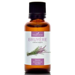 BRUYÈRE - Macérat de bourgeons BIO - 30mL