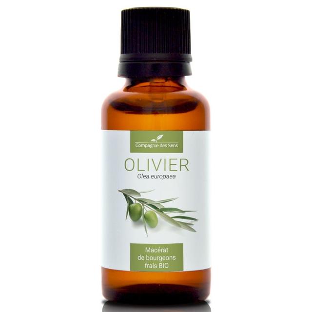 OLIVIER - Macérat de bourgeons BIO - 30mL