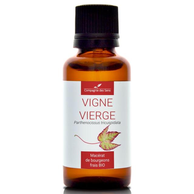 VIGNE VIERGE - Macérat de bourgeons BIO - 30mL