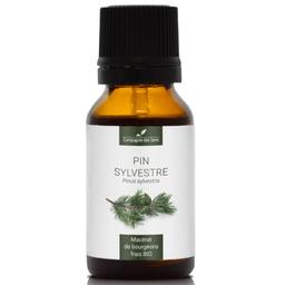 PIN SYLVESTRE - Macérat de bourgeons BIO - 15mL