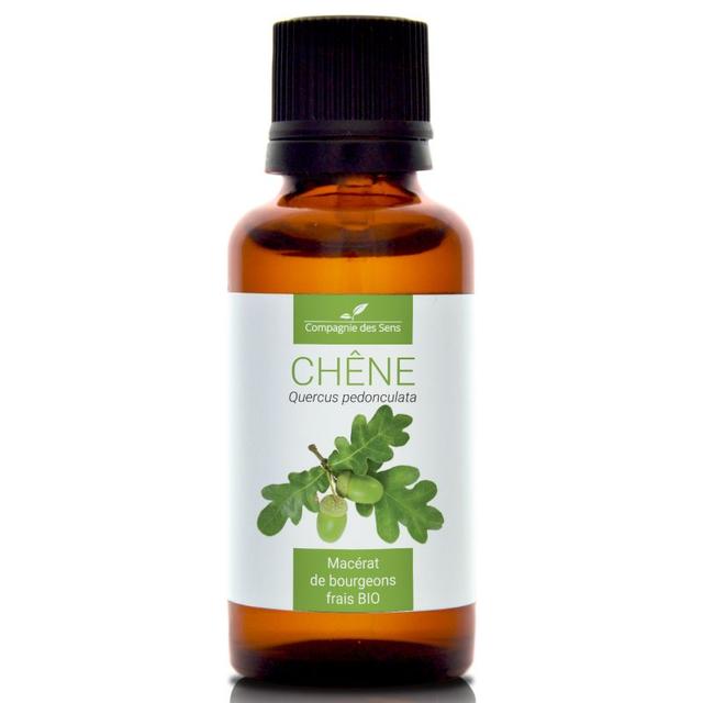 CHÊNE - Macérat de bourgeons BIO - 30mL