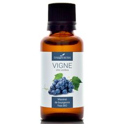 VIGNE - Macérat de bourgeons BIO - 30mL