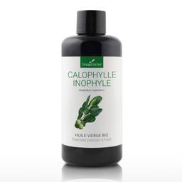 Calophylle Inophyle - Huile Végétale Vierge BIO  - 200mL