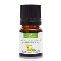 INULE ODORANTE - Huile essentielle BIO - 2.5mL