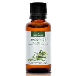 EUCALYPTUS RADIATA - Huile essentielle BIO - 30mL