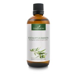 EUCALYPTUS RADIATA - Huile essentielle BIO - 100mL