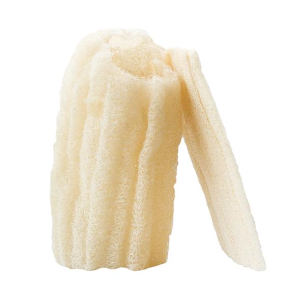 Luffa naturel | Taille L