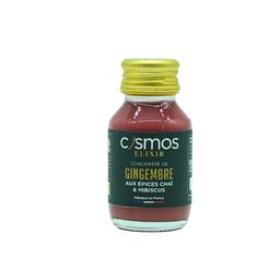 Concentré de gingembre Hibiscus 12x25ml