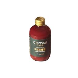 Concentré Gingembre Chai Hibiscus 260ml