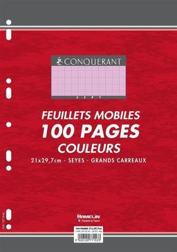 Paquet de 100pages Feuillets mobiles A4 80g Seyes Rose