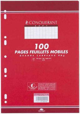 Etui 50 feuillets mobiles (100 pages) A4 petits carreaux 90g