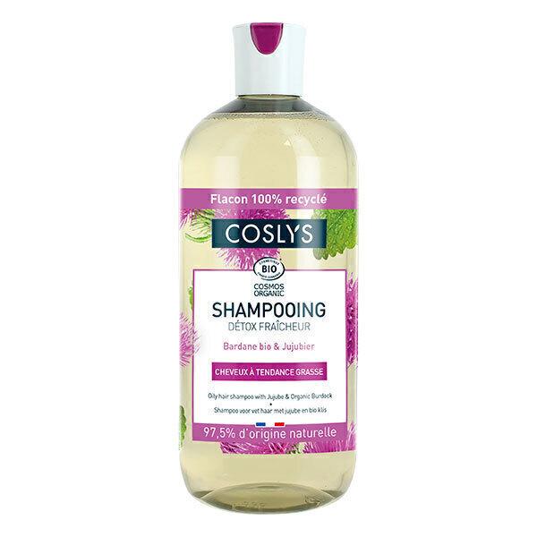 Shampooing Cheveux Gras 500mL