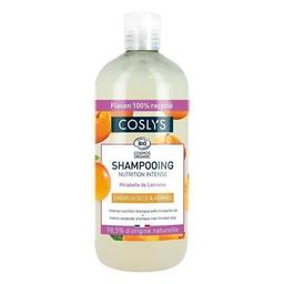 Shampooing cheveux secs et abimés 500ml