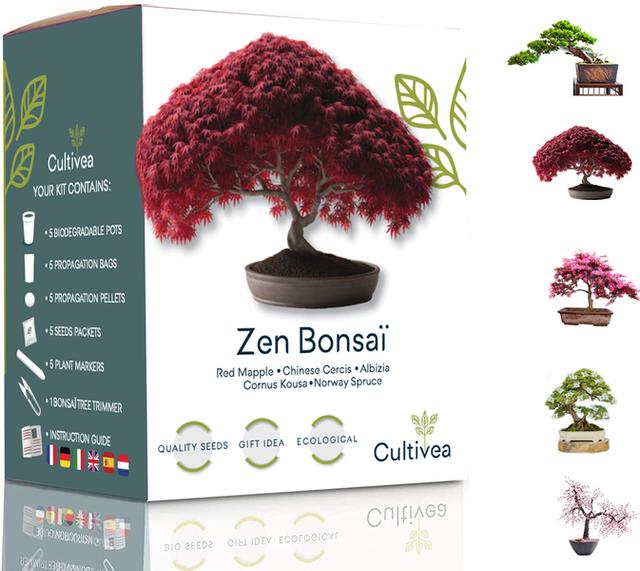 Mini Kit Zen Graines Bonsai